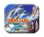 Conny Land